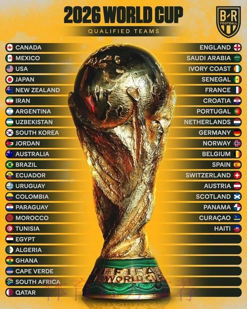 2026年世界杯竞猜指南：深度解析赔率走势与热门预测