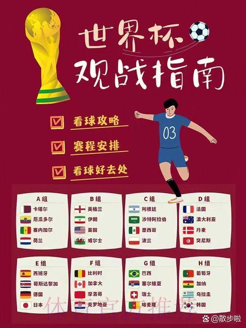 世界杯比分注册入口地址获取完全指南
